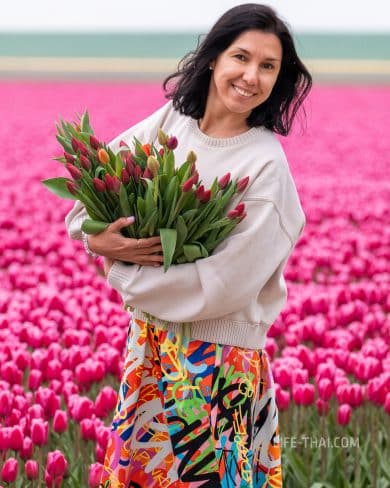 🌹 Фестиваль тюльпанов | Стамбул в апреле 🌷 праздник и ...