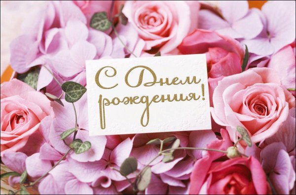 С Днём Рождения! Самое Красивое Поздравление! 🌹Море Цветов и ...