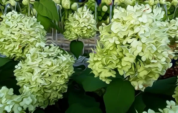 Скачать картинки White variegation, стоковые фото White ...