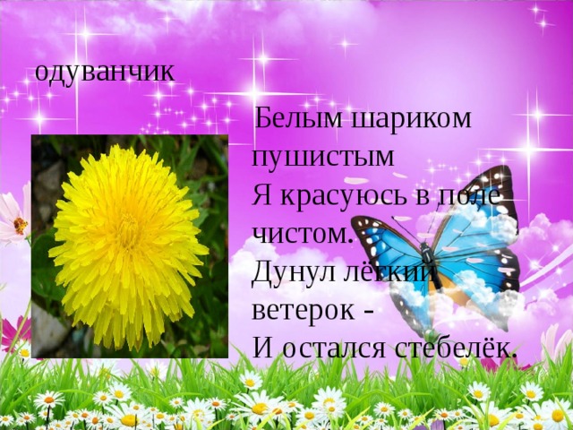 Цветочная загадка - Sanata Flowers - Цветы Королев