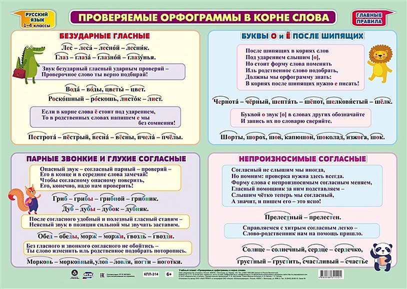 Что такое фотосинтез: процесс и фазы фотосинтеза