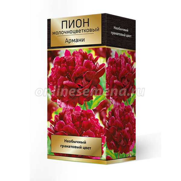 Пион Армани (Paeonia Armani) купить в Москве по низкой цене ...