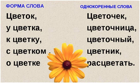 💐Доставка цветов СПб недорого | Авторские букеты от лучших ...