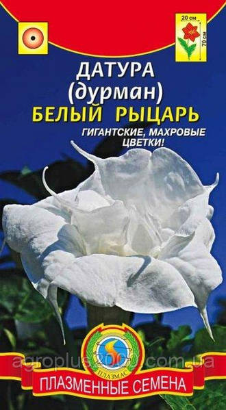 Семена и луковицы для полива Datura ...