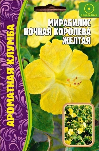 Бархатцы отклоненные Королева София (Tagetes Patula nana) - 0 ...