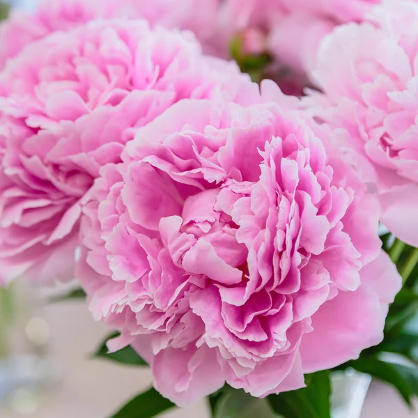 Peonies in a garden Beautiful floral art wallpaper | Premium ...