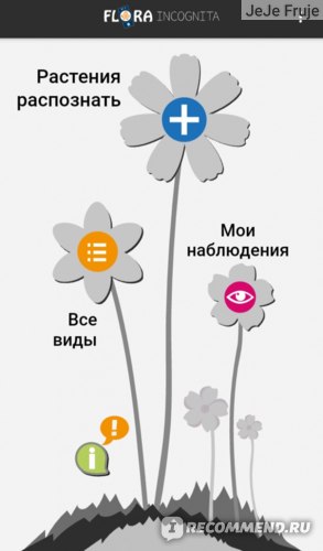 Не могу распознать цветочек - Страница 5 : Комнатные растения