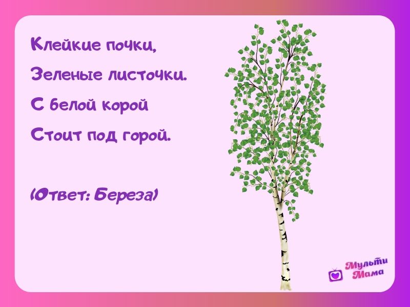 Как правильно ухаживать за комнатными растениями? Советы по ...