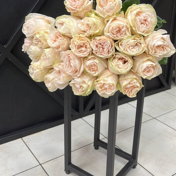 Rose Wedding Spirit 50cm - Wholesale - Blooms By The Box