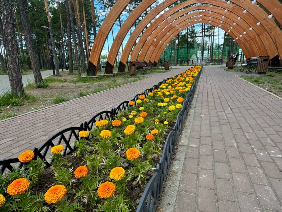 Я даже представить себе не могла, что когда-то здесь может ...