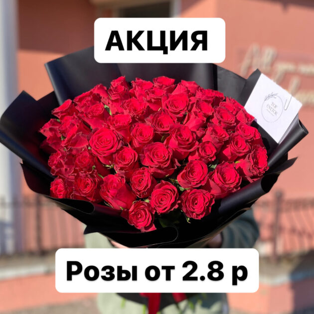 Роза Rhodos 60см купить в Днепре на Sevenroses