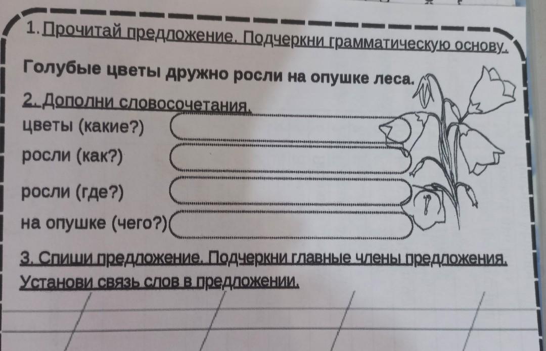 1️⃣ Купить букет из красных роз Алматы | Доставим точно в срок