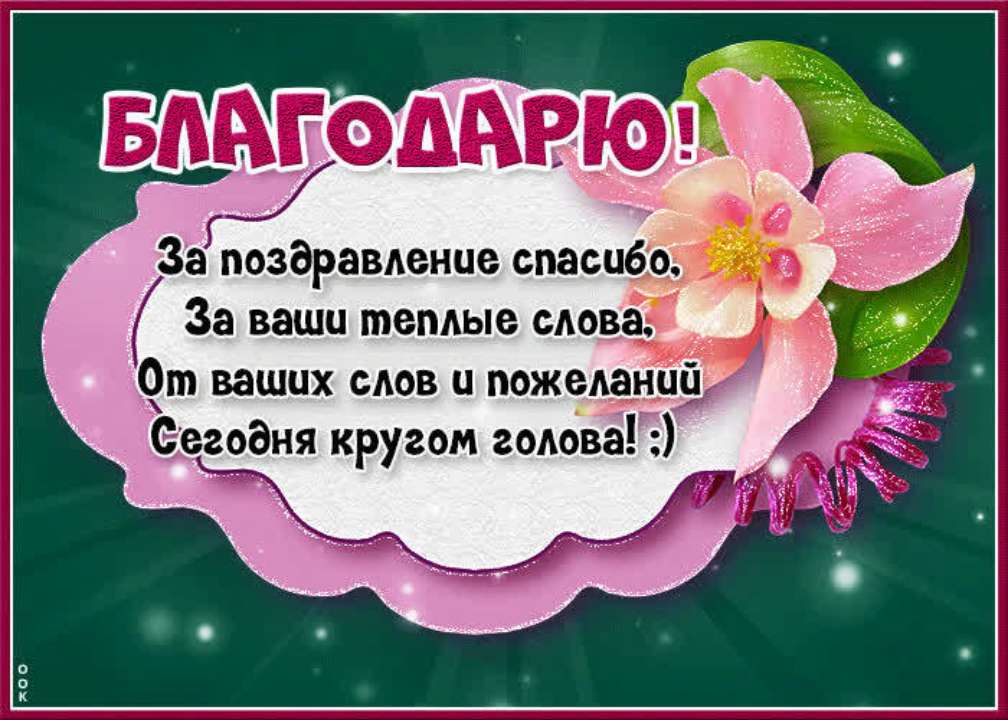 Как выбрать цветы для Весов: какие цветы любят девушки весы ...