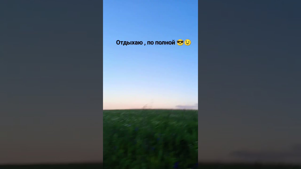 Доброе Утро Цветы Ромашки | TikTok