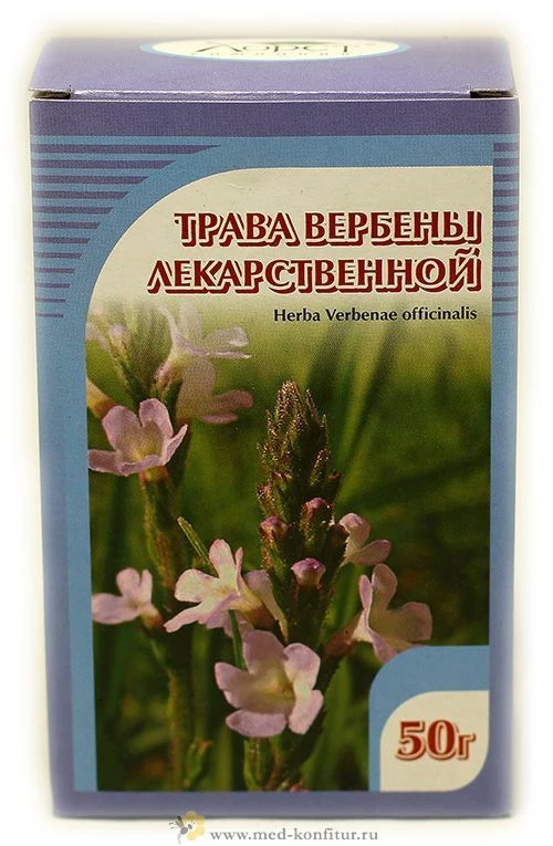 Железница, или Вербена лекарственная