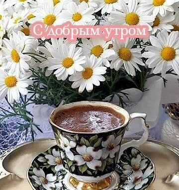 🌼🌼🌼🌼🌼 Доброе Утро! 🌼🌼🌼🌼🌼 | By В Гостях У Ромашки ...