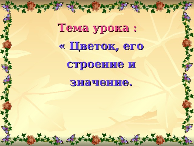 Царство Растения. Внешнее строение и общая характеристика ...