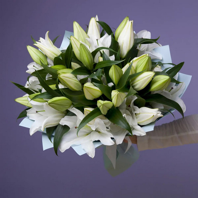 Lilium or dbl roselily angela | LILORI | Lilium Oriental ...