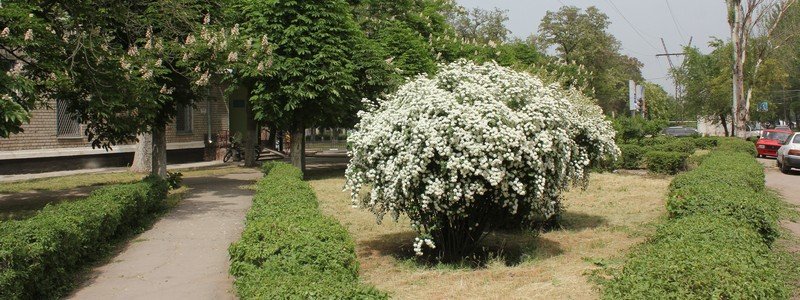 Значение цветов в букете невесты