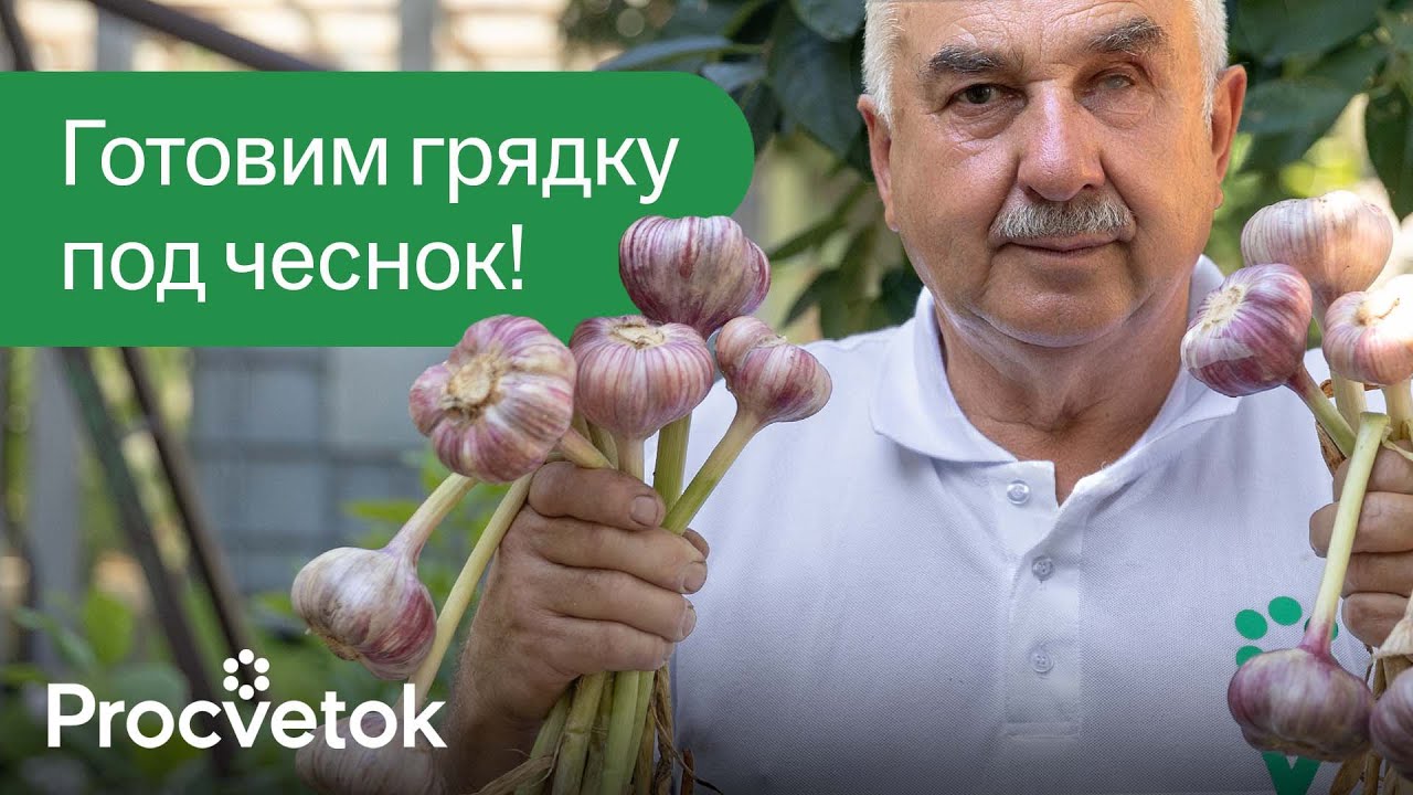 Какие растения и цветы опасны для ...