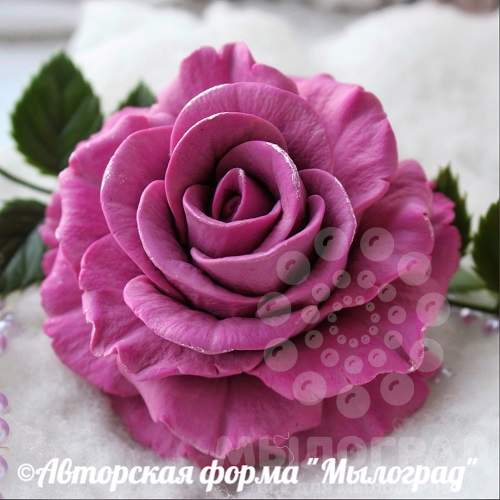 Саженец Роза Афродита (Rosa Aphrodite) купить в Москве по ...