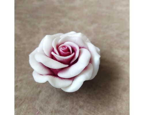 Elina Bush Rose | AcornNursery