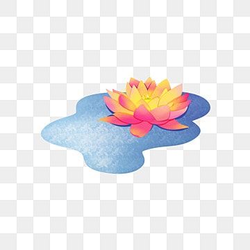 Lotus Flower Png - Цветок Лотоса Пнг ...