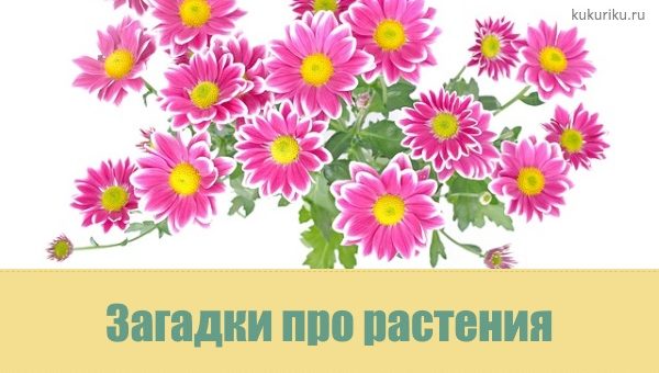 Ягнёнок, Детские христианские стихи и загадки, Коноваленко ...