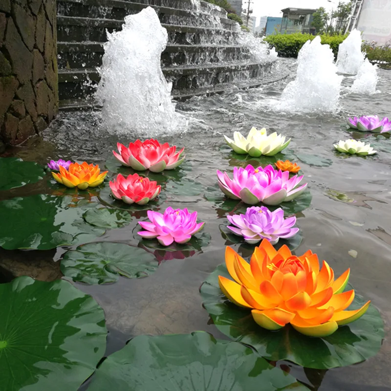 Free Photos | Pink water lily 2