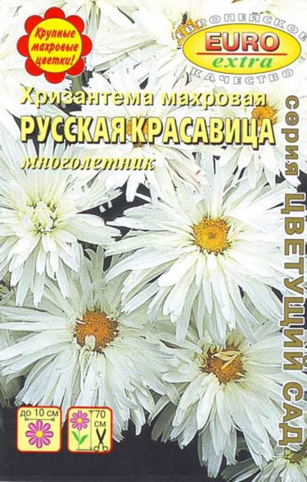 Хризантема корейская Мариэлла Бронз, Р9 - Цветы - Каталог ...