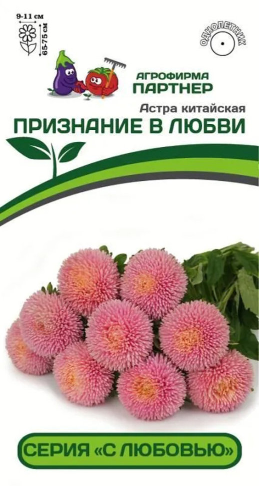 Астра альпийская Блу (Aster alpinus Blue)