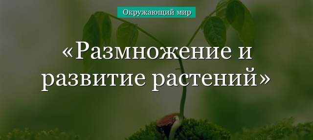 Ответы Mail: сочинение по картине И, Т, Хруцкого цветы и плоды