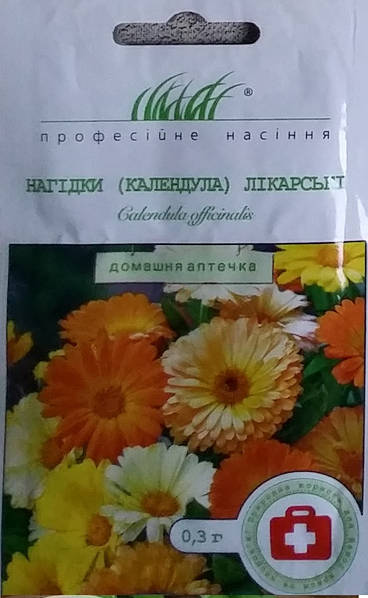 Календула знакомая и не очень | Блог магазина Цветы почтой