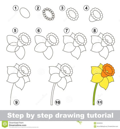 Narcissus flower. How to draw a easy? (Цветок Нарцисс. Как ...