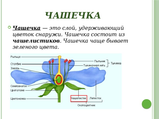 Конспект урока: Лабораторная работа ...