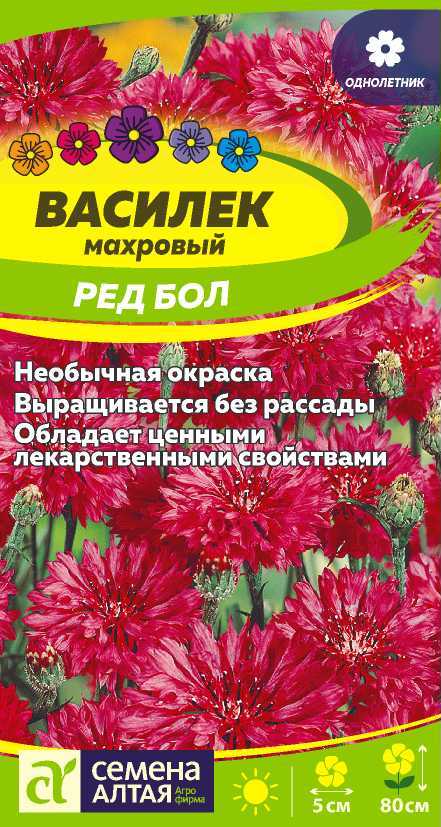 Василёк листья — Bouquet of flowers