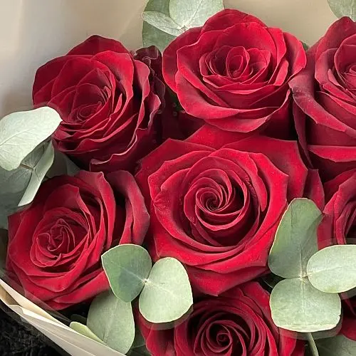 aesthetic dark red roses