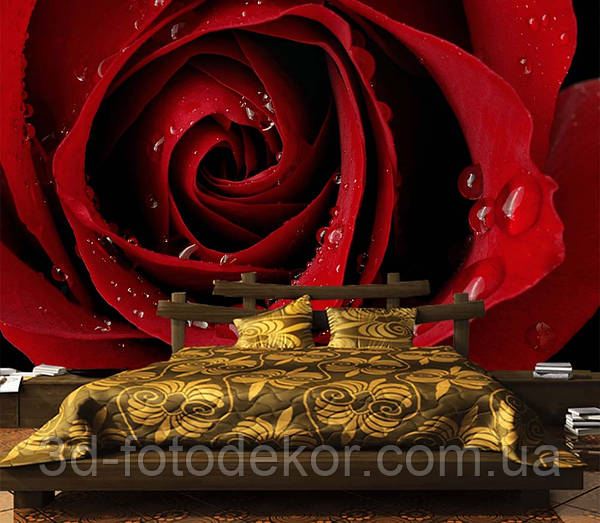 3D Фото Обои PHOTODECOR 