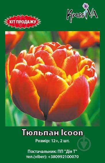 Icoon - Haakman Flowerbulbs B.V.