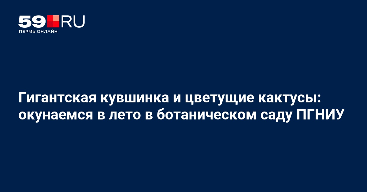 Какой цветок можно держать в спальне - ответ эксперта ...