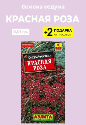 Седум (очиток) купить в Нур-Султане с доставкой, цена