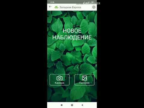 PictureThis - Приложение для идентификации растений ...