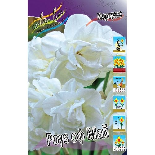 Купить нарцисс ванилла пич (narcissus vanilla peach), 5 шт ...