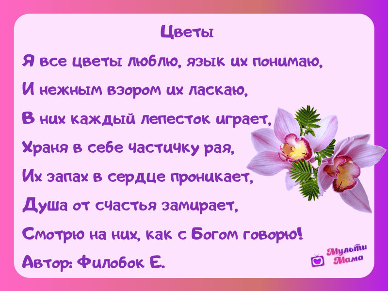 Какие цветы готовы полететь на Марс и как посадить гиацинт ...