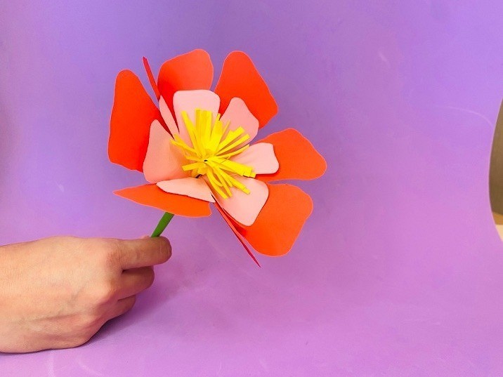 Paper flowers how to make a tulip Paper Paper flowers with ...