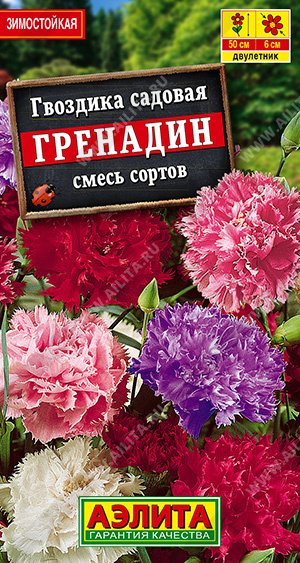 Купить Гвоздика садовая 12/-15/ в ...