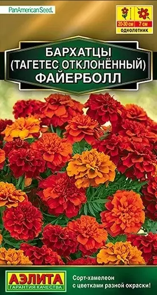 Цветы Бархатцы пр. Ледяные великаны 7 шт ц/п Аэлита (40-50 см)