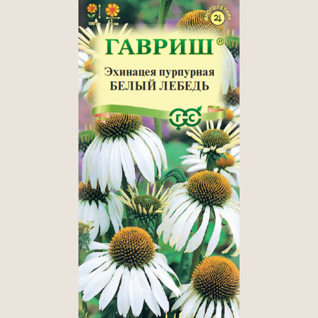 Echinacea PowWow® White