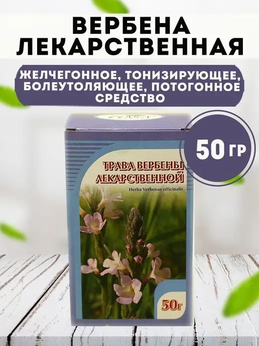 ЛЕКАРСТВЕННЫЕ РАСТЕНИЯ Вербена лекарственная Verbena ...