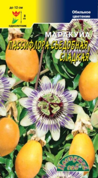 Маракуйя или Passiflora Сaerulia — Мир ...